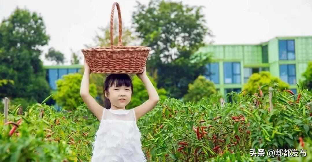 红光新城西安市,红光新城