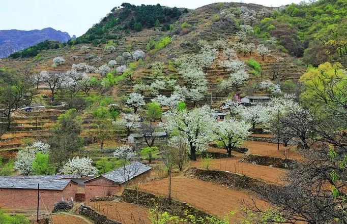 到了京郊这些花开四溢的“仙境”，您简直可以把日子过成诗！