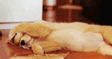 中午不睡下午崩溃原话,中午不睡下午崩溃