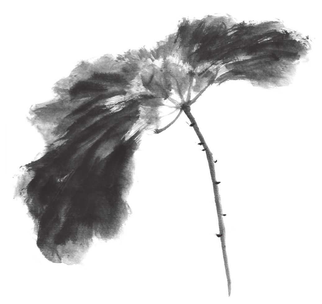 国画刘存惠荷花画法全视频,国画山水画教学视频荷花画法