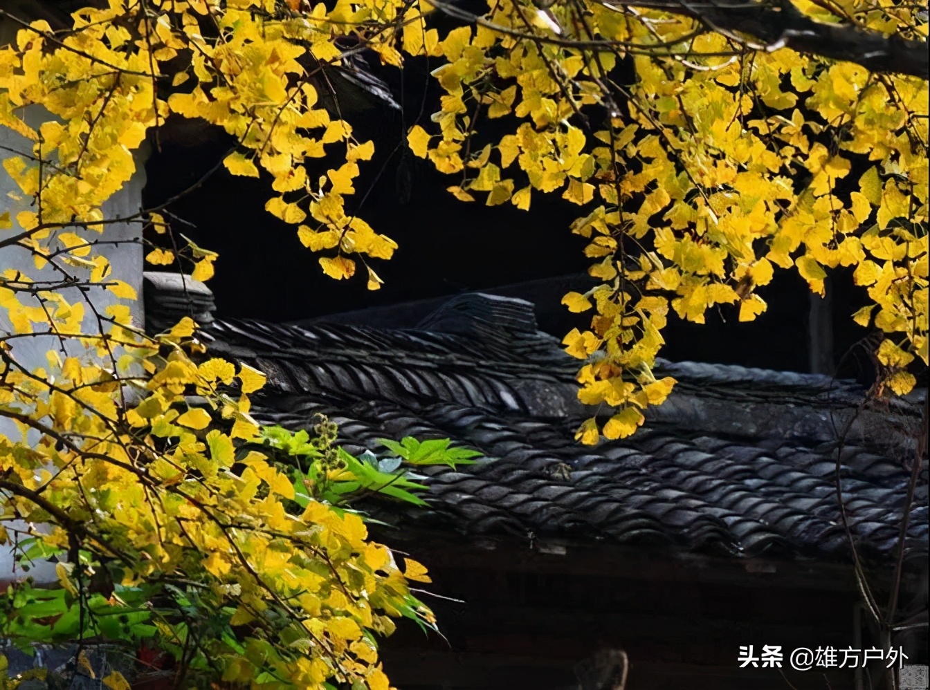 漓江兴坪古镇美景,兴坪古镇漓江游