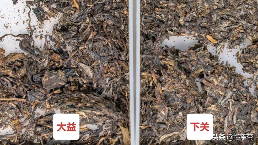 沱茶熟茶好与差对比,沱茶评测下关vs大益你更看好谁