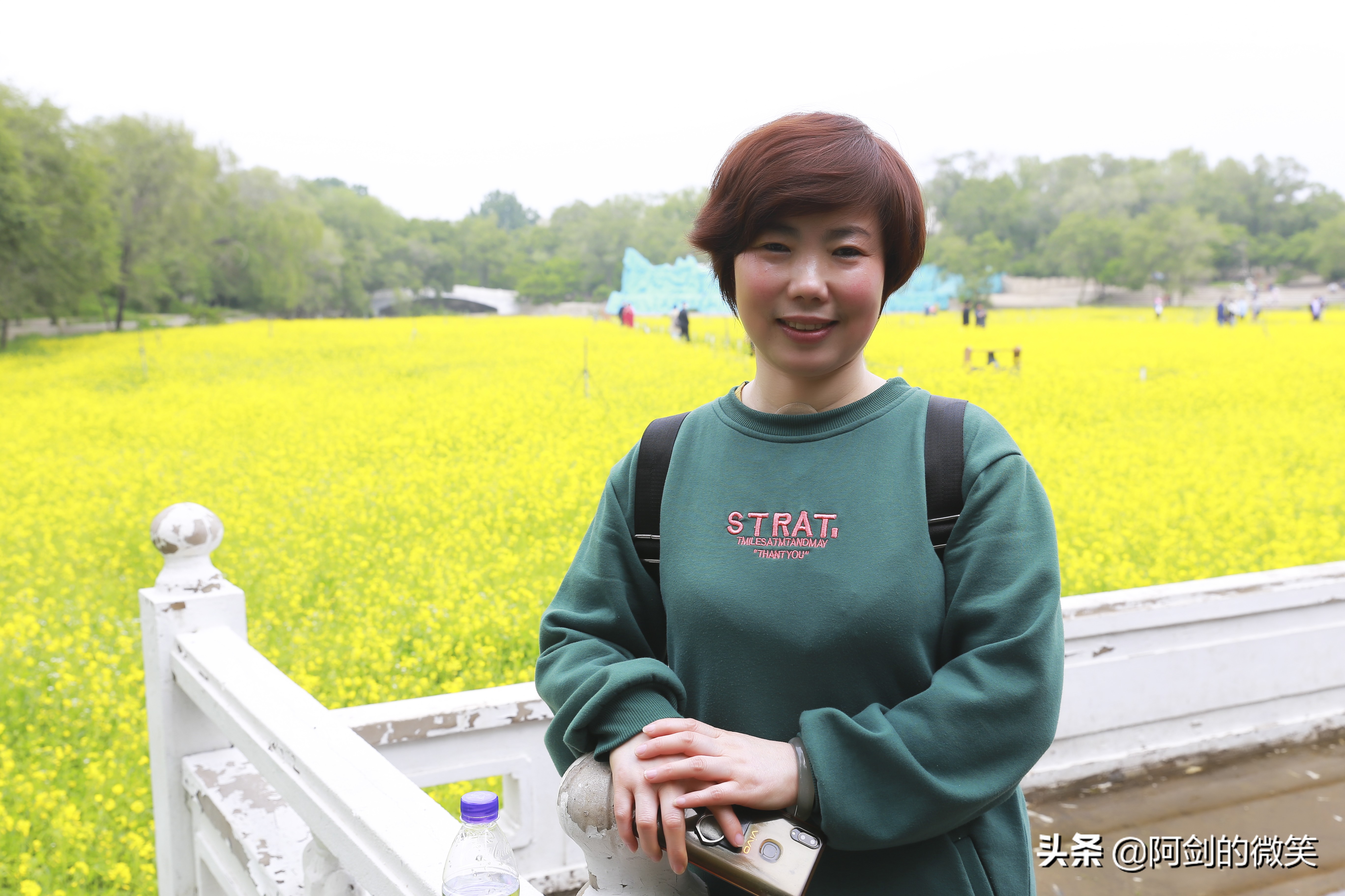 沈阳十一假期哪里有花海,沈阳玫瑰小镇温泉花海两日游