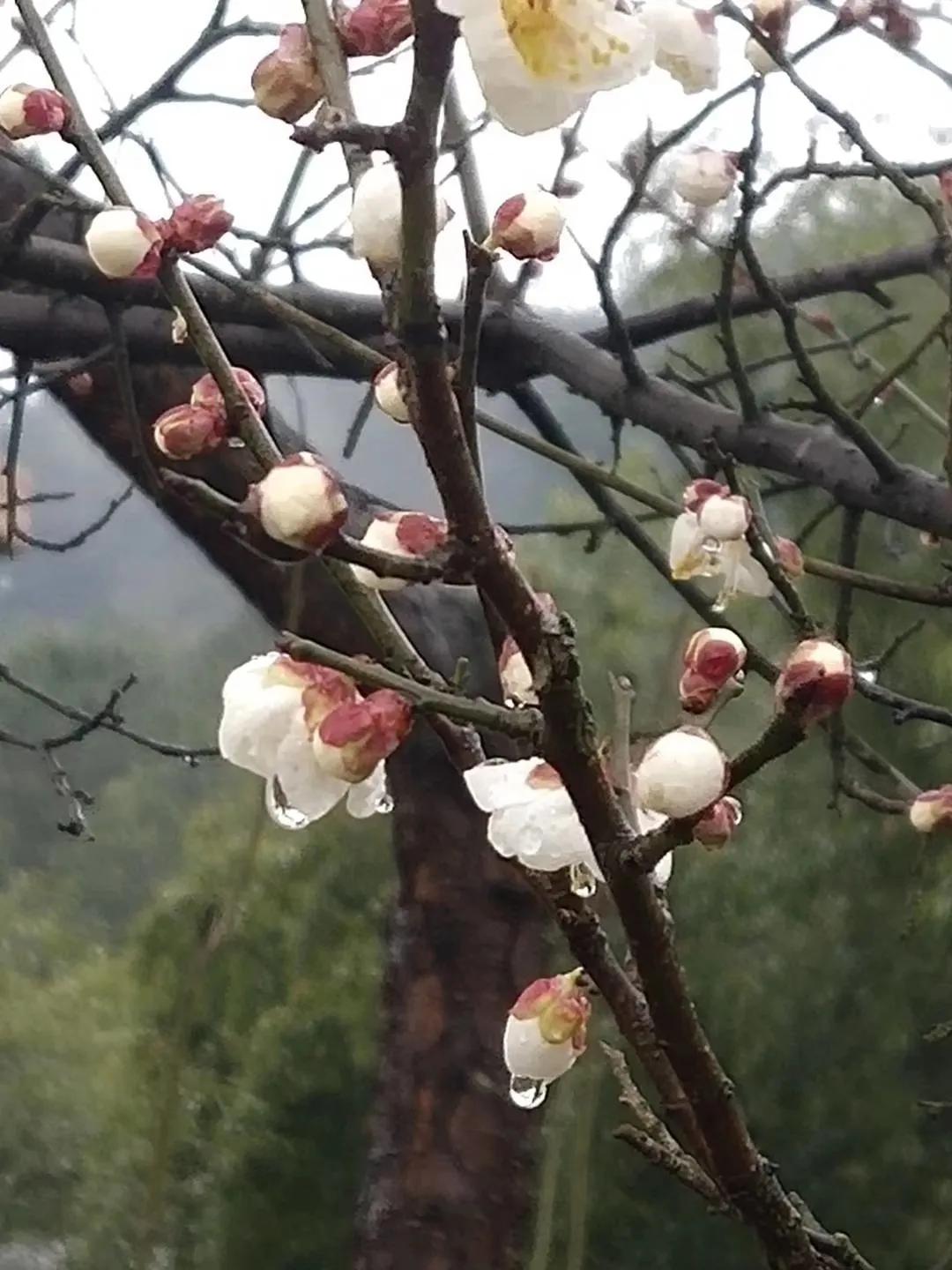有一种缘份叫母女,有一种缘分我们要珍惜