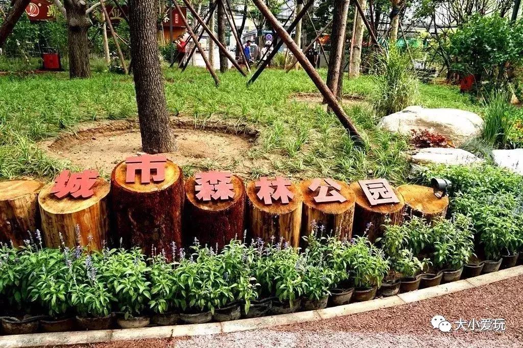 免费公园滑梯,六支沟滑滑梯公园