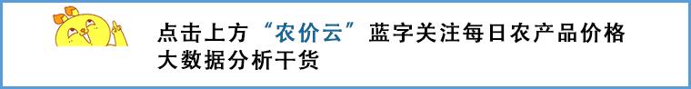 2021芋头批发市场联系方式,2023广东芋头批发行情