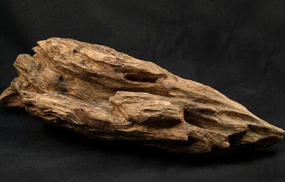 中国最贵的五种木材，你知道几种？