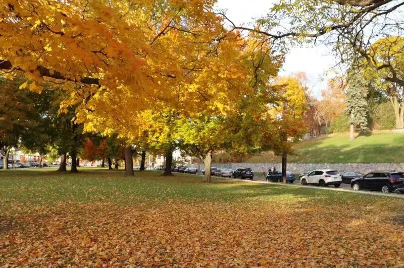 无藤校光环加身却被学霸强烈追捧，这6所顶尖大学到底什么来头？