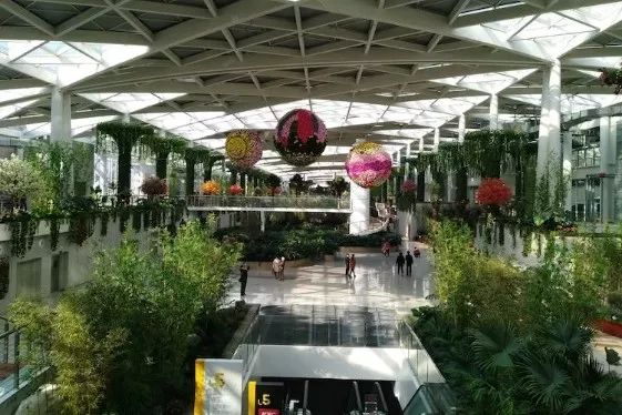 大连网上买花哪个平台好,大连买花到哪里