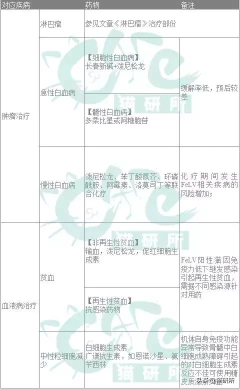 猫白血病病毒（FeLV）感染≠猫白血病≠安乐死