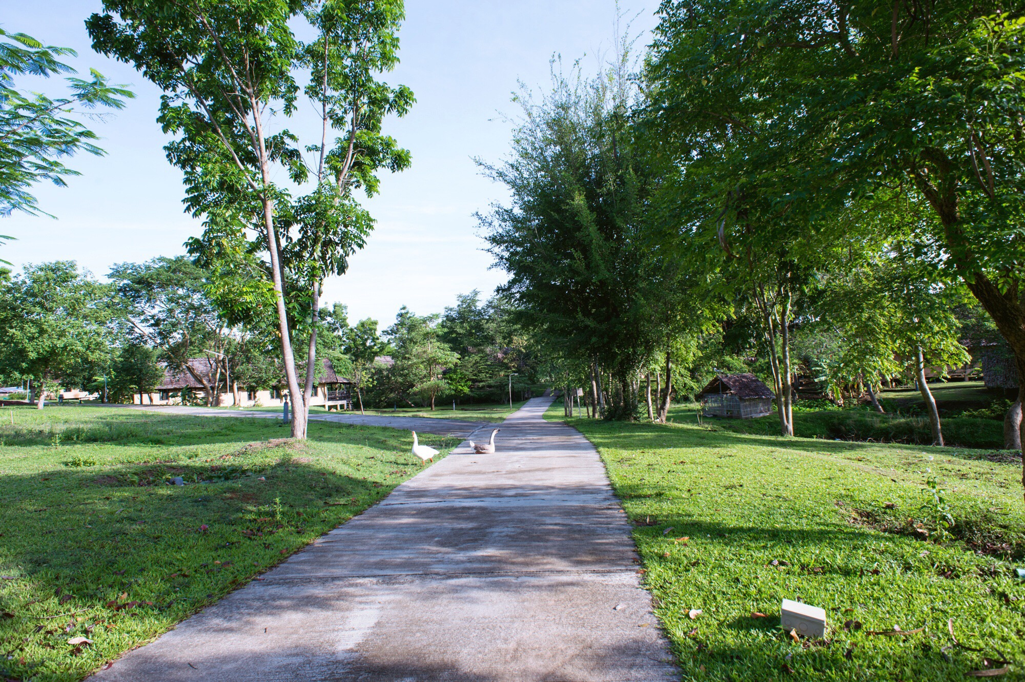 泰国的网红旅游县，私藏着一座座田园式酒店，诗意的生活在这演绎