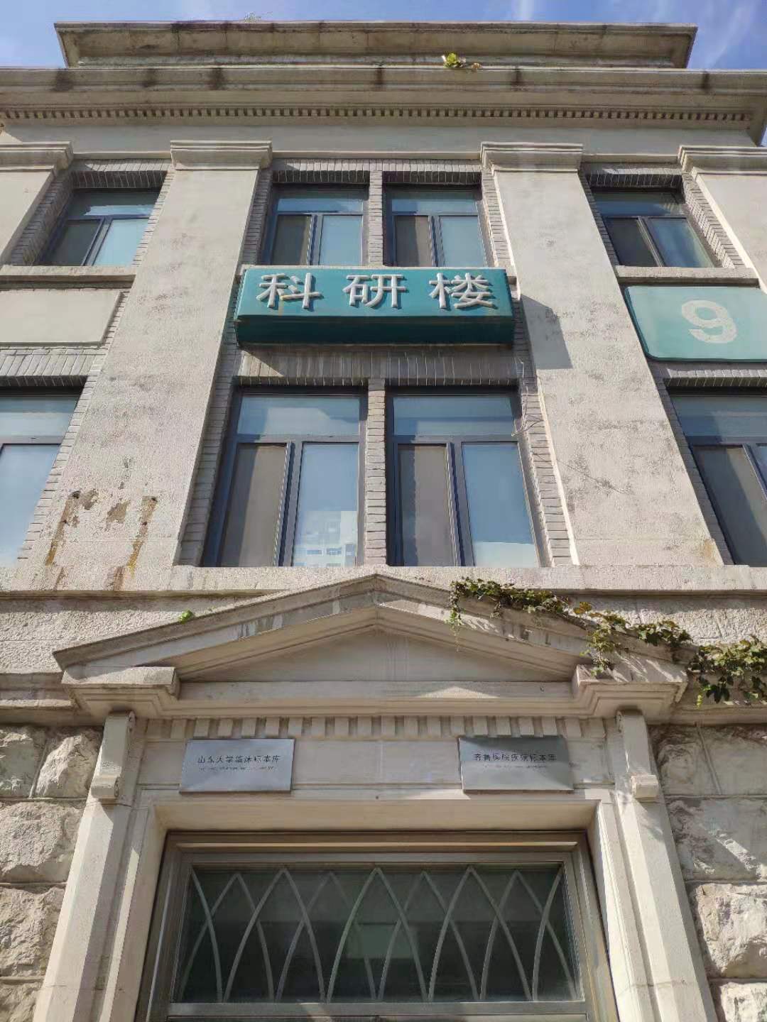 齐鲁医院运动医学科,齐鲁医院运动医学
