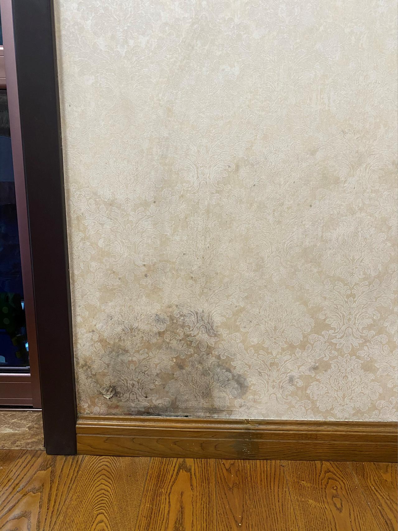 楼被水淹了还能住吗,一楼被淹了怎么留证据