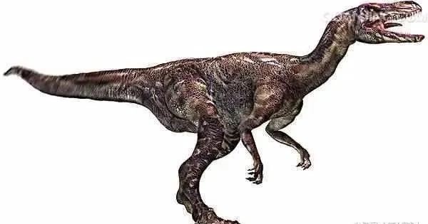 所有恐龙大小排行榜图,侏罗纪世界游戏恐龙排行榜