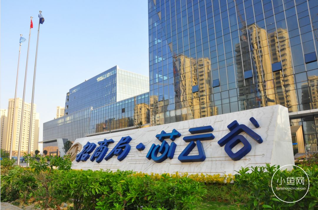 鬼城or未来可期？我们走进漳州港，发现“接盘侠”的各种悲喜交加