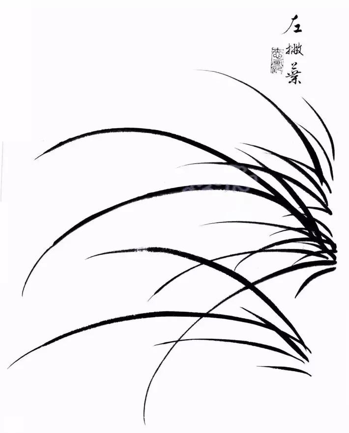 工笔兰花画法步骤详解,兰花的十种画法讲解