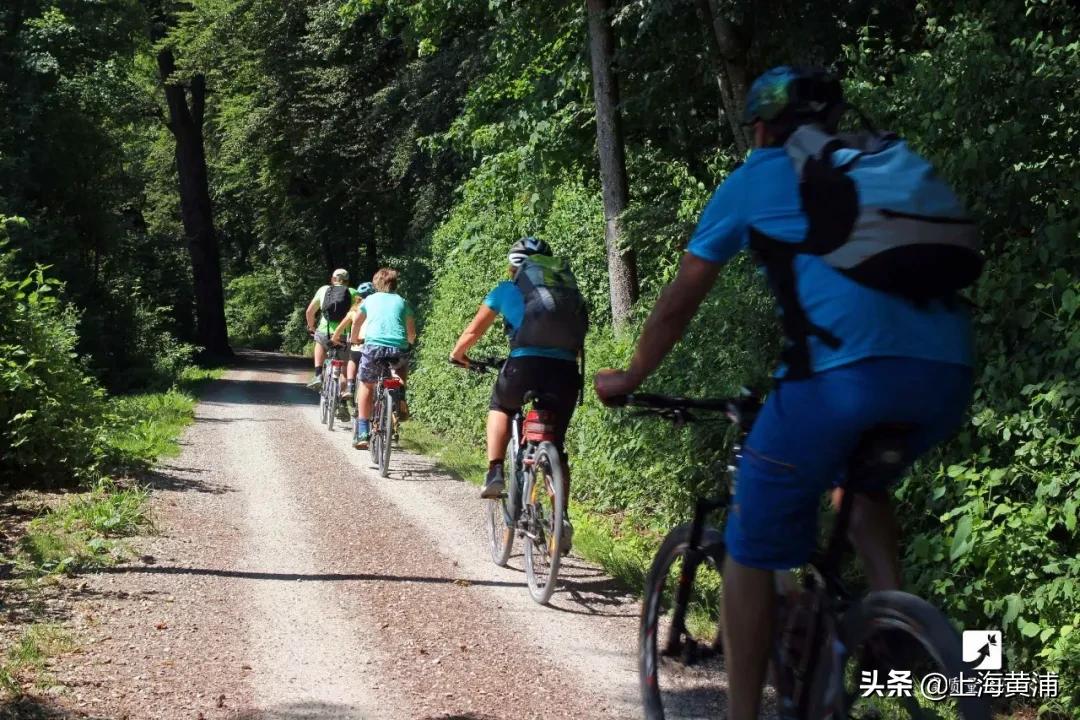 有结石哪些食物不能吃的图片,很多结石是吃出来的怎么做能排石