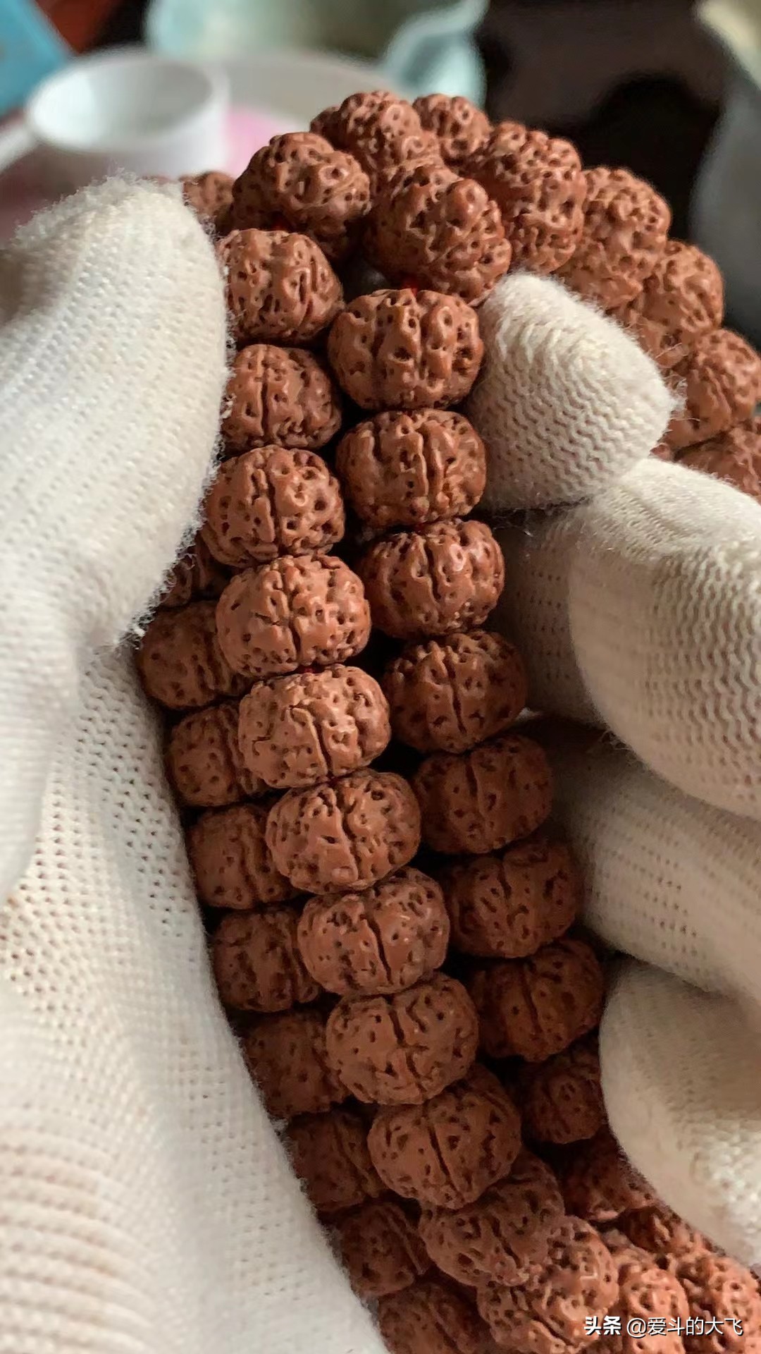 大飞说文玩：传说中的一代“树祖小金刚”你见过吗？