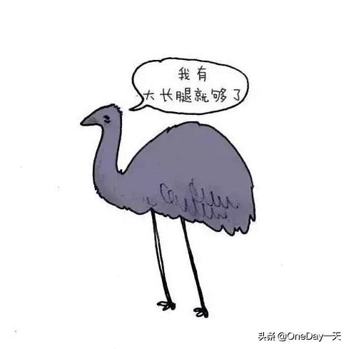 动物冷知识搞笑动画,搞笑动物冷知识22