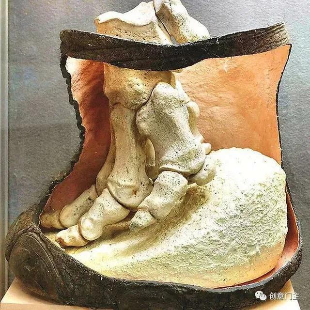 大象长高,大象怎么长高的