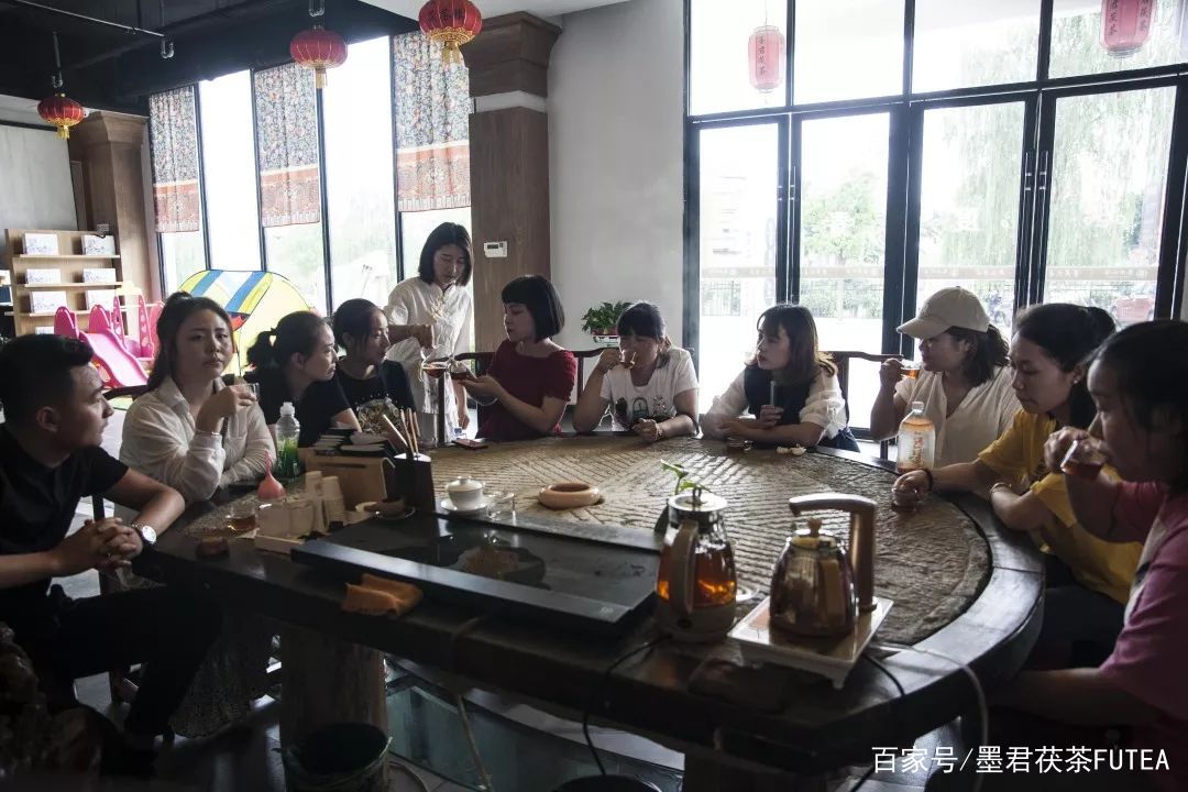 会友会景会茯茶品古品今品墨君|陕西巨鹰公司莅临金叶茯茶参观