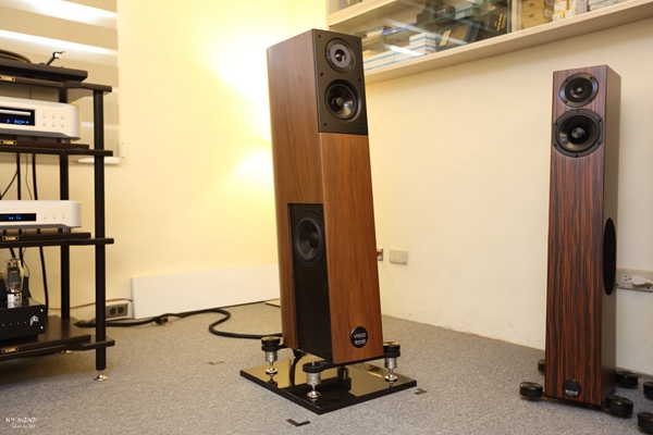 精准再进化,搭配胆机超迷人:德国飞星AudioPhysicVirgoIII