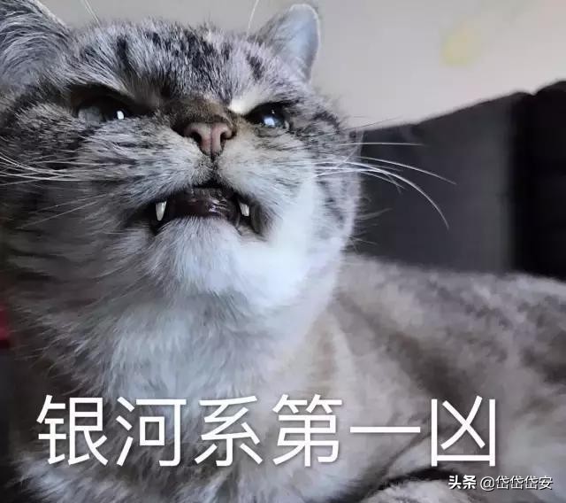 卡拉瓦乔一生简介,卡拉瓦乔的逃亡生涯和作品