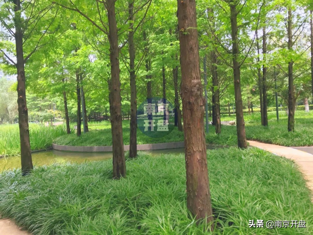 8.3万/㎡成交！今天实探仁恒次新房，实景美炸了