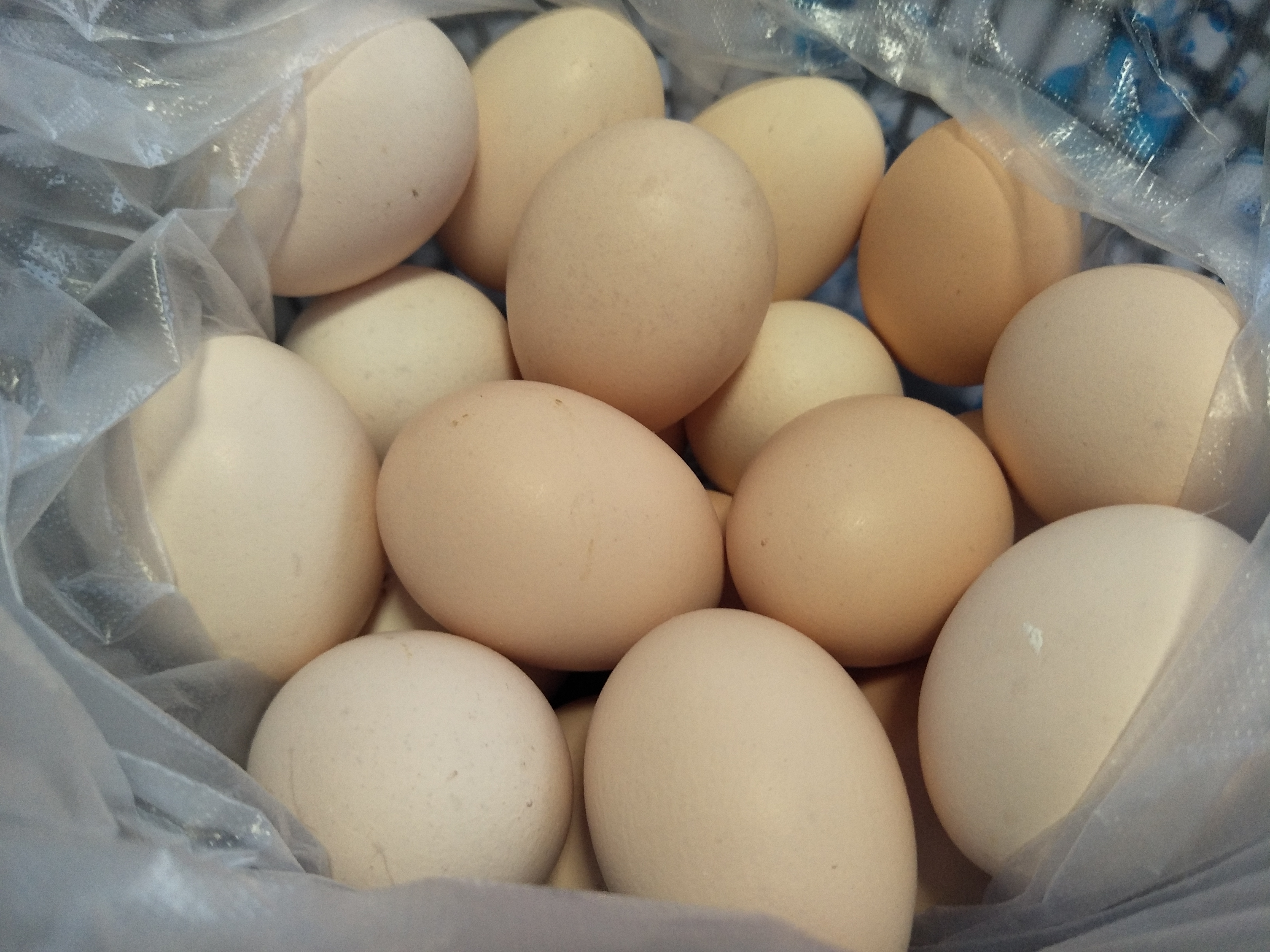 保存鸡蛋是大头朝上还是小头朝上,公鸡蛋如何保存不变质