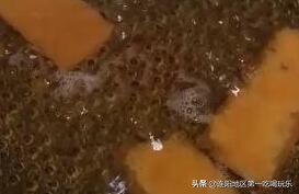 连州市东陂地道特色马蹄水饺做法,连州东陂马蹄美食