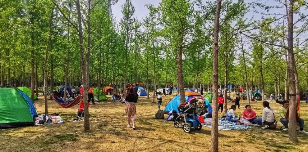 济南免费周末遛娃玩水好去处,济南亲子公园游玩地点推荐