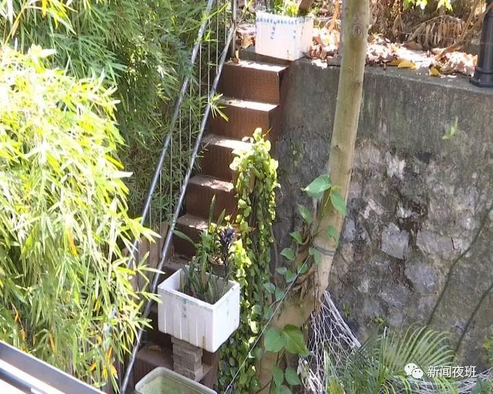 邻居挂恐怖“巫术娃”诅咒我,只能忍吗?我们问了12348律师