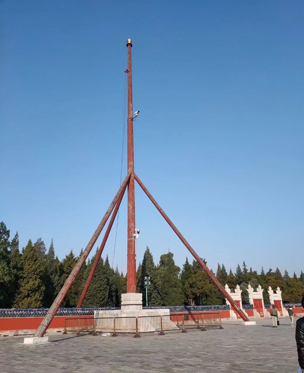 奇妙假日旅行,奇妙假期在哪里看