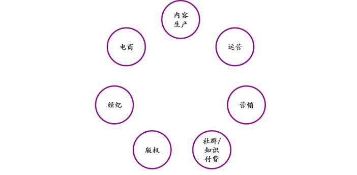 mcn短视频推广,mcn短视频营销