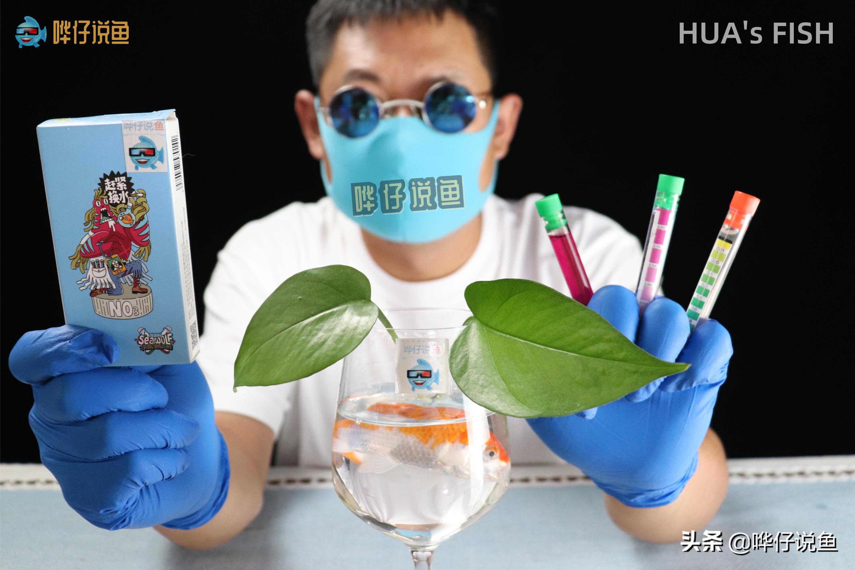 有人说，硝化细菌和鱼缸滤材都是水族圈的*局骗**，我觉得这话不靠谱