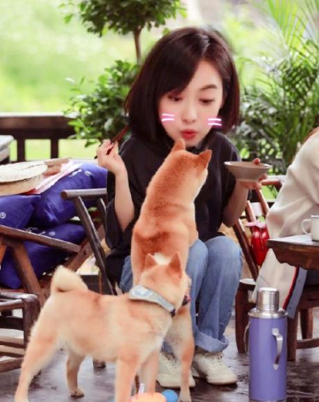 宋茜向往的生活3,宋茜劈柴完整版