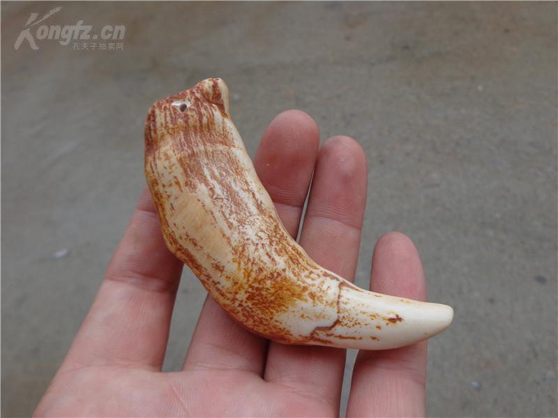 文玩流行的动物制品 (十种野生文玩)