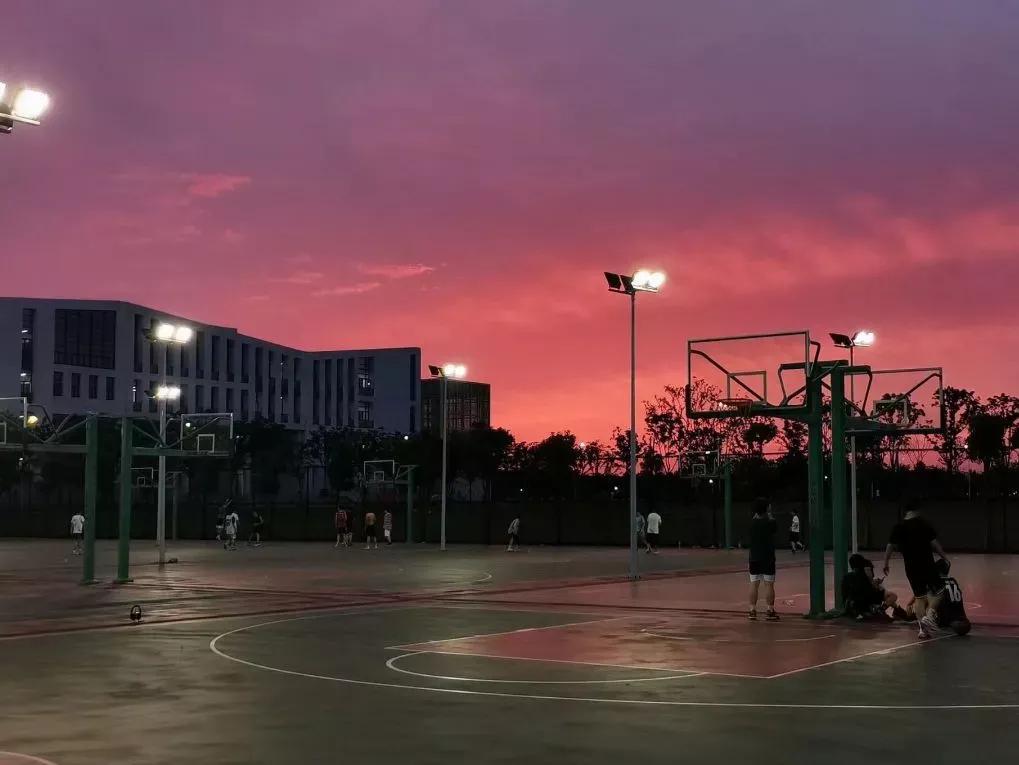 安徽省合肥师范学院2024招生简章,安徽省合肥师范学院今年投档线