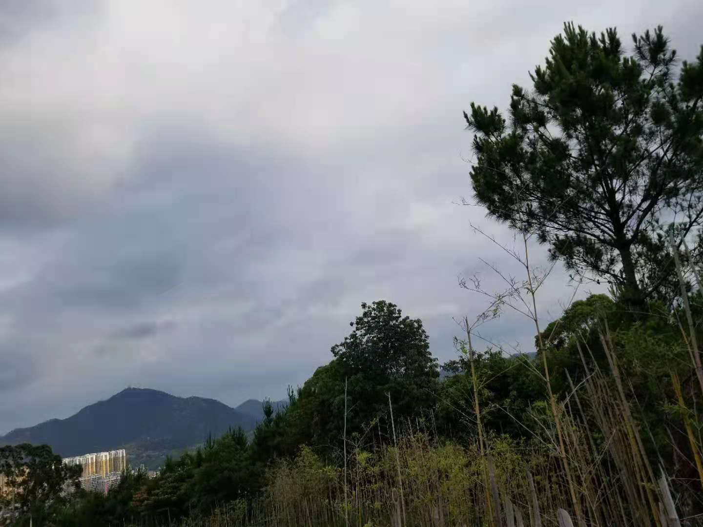 如何清理鞋子里面的污垢,鞋子清理小妙招