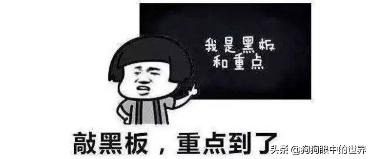 狗狗感冒好了没几天又感冒了,狗狗感冒好了之后还是没精神