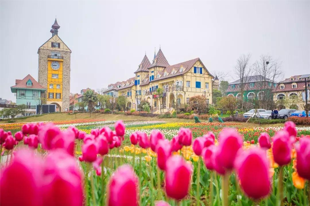 三月赏雨赏花,三月适合去哪儿看花