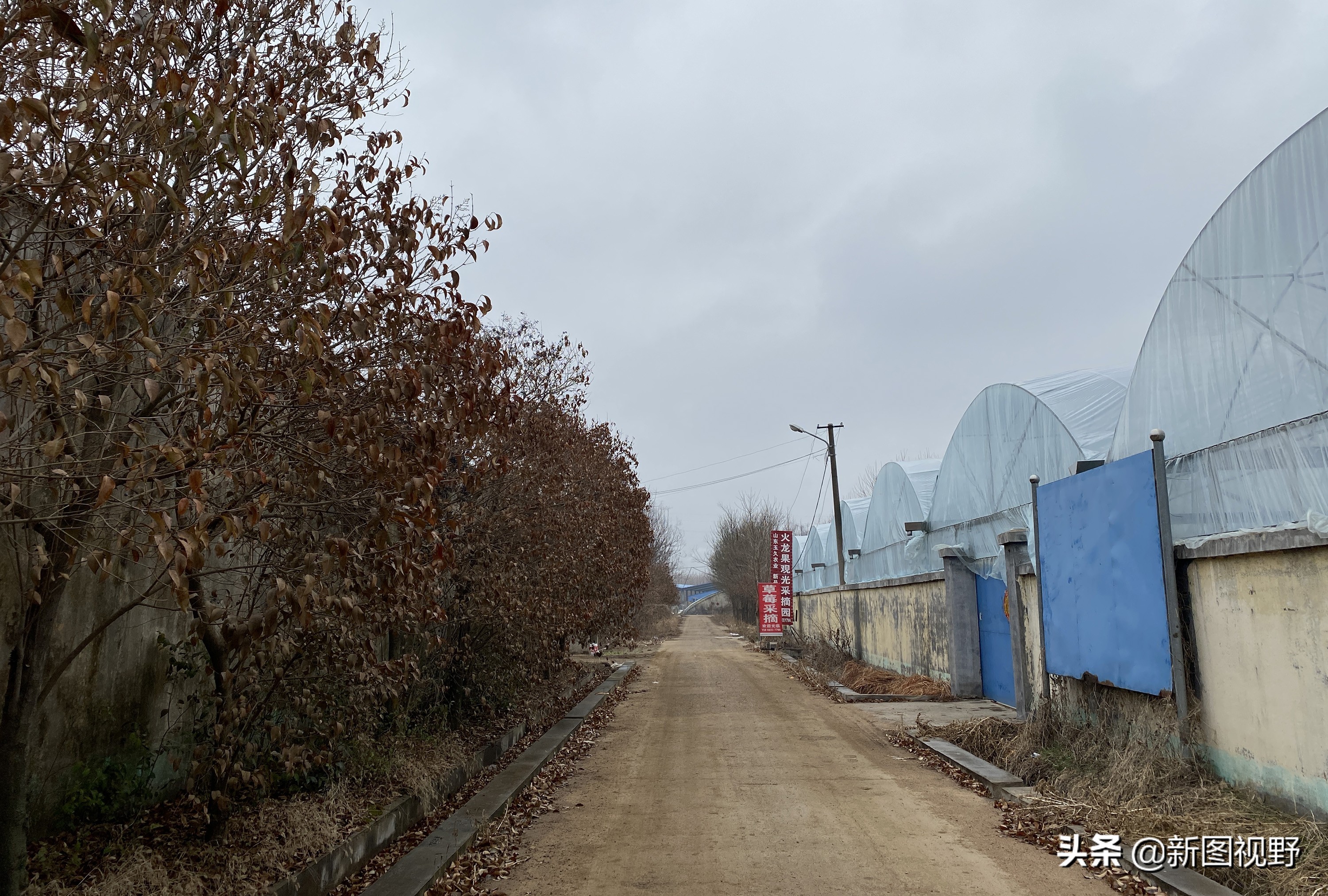 农村大哥种菜一年12万,农村大哥吃西瓜