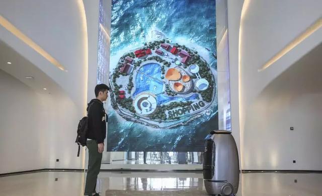 一场预言人类灭亡的老鼠实验,一场实验暴露人性