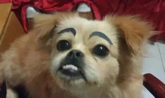 地包天科普主题,孩子地包天的治疗方法