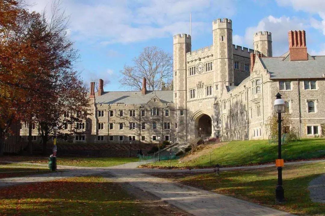 各大平台网红区别,都是网红的村