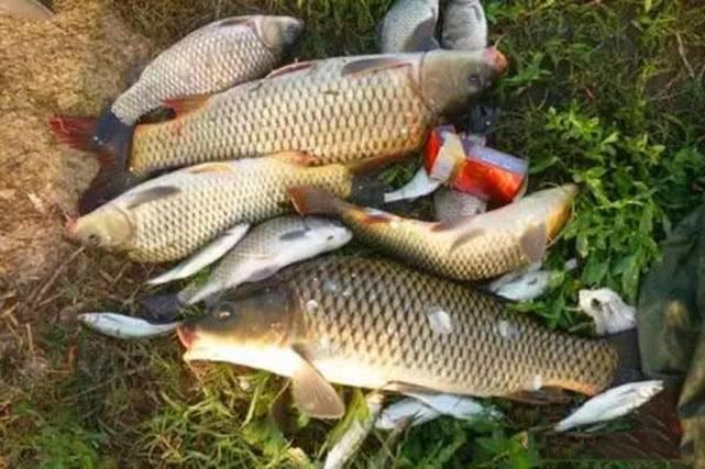 夏季用海竿爆炸钩野钓,钓大鱼爆竿的原因