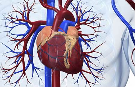 冠心病患者既不能做支架也不能做搭桥怎么办？