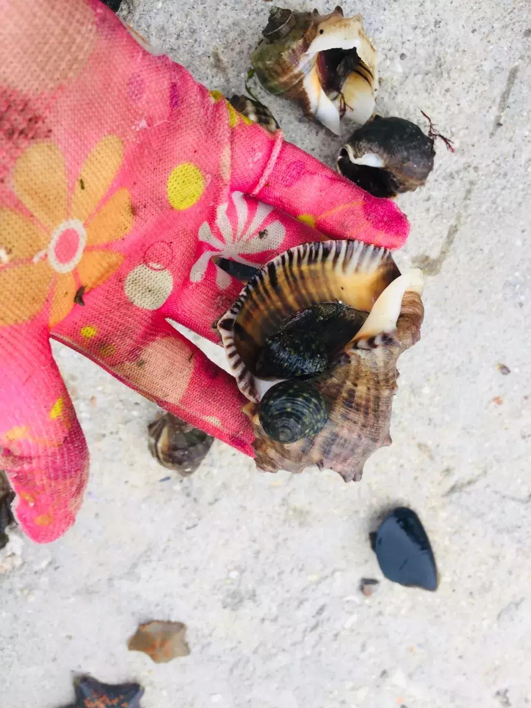 大连绝美海岛旅游攻略路线,七月去大连哪个海岛旅游好