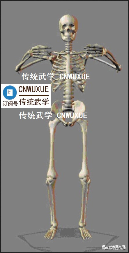 站桩口诀顺口溜大全,养生桩站桩口诀音乐