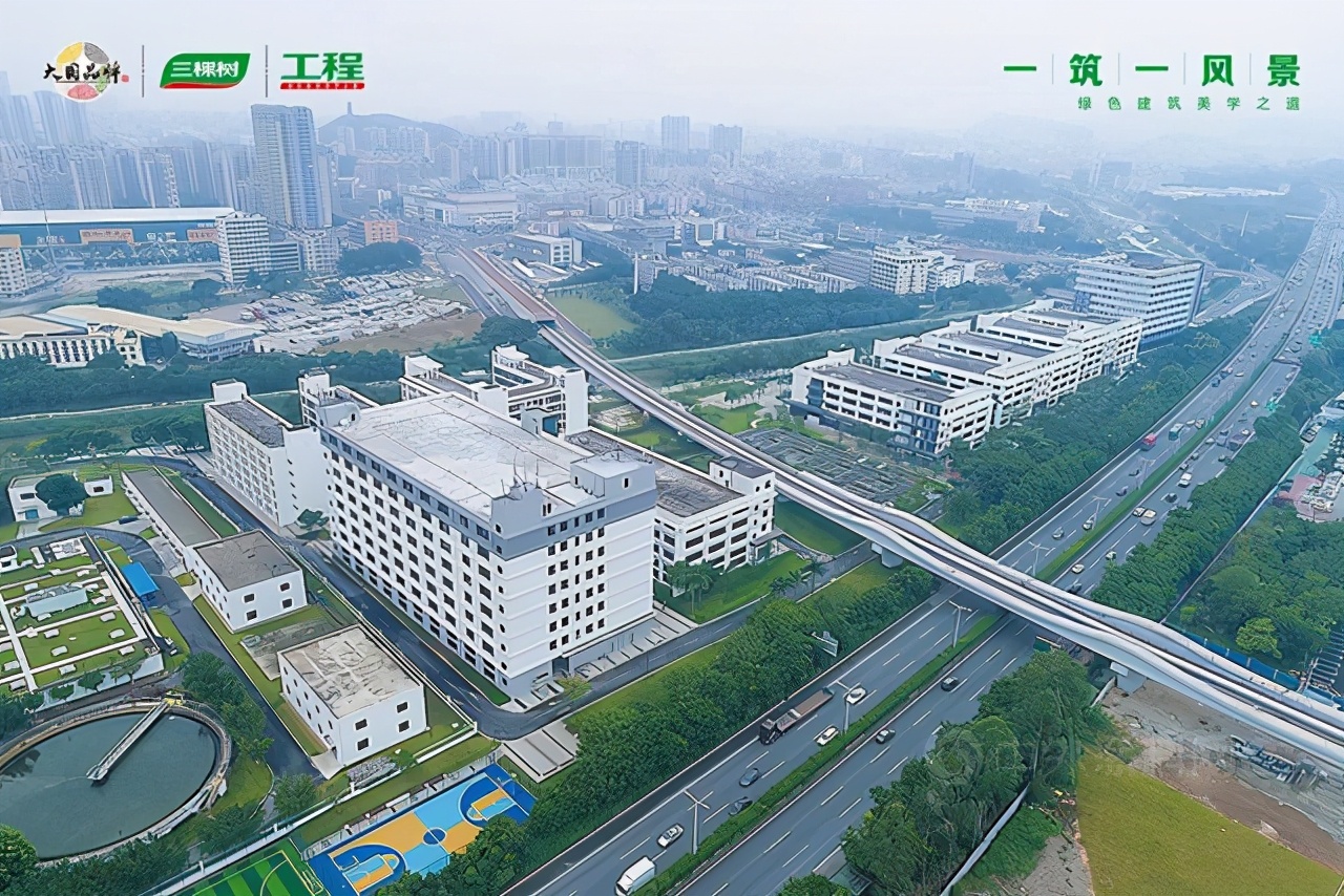 三棵树为何股价强势,市值暴涨3400亿